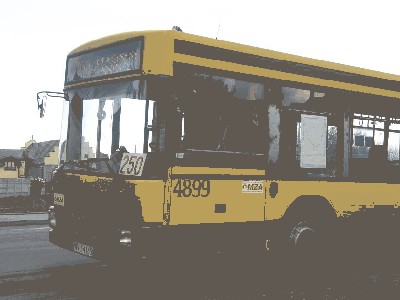 4899.jpg