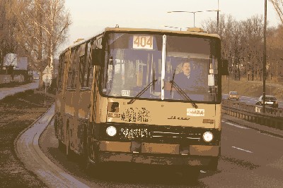 zagadka4.jpg