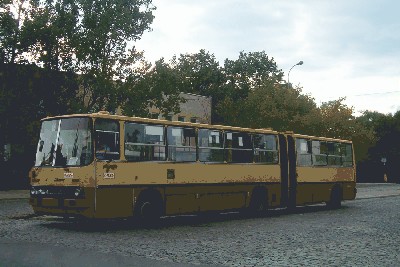 zagadka8.jpg