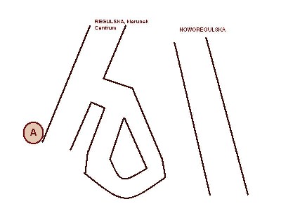 regulska.JPG