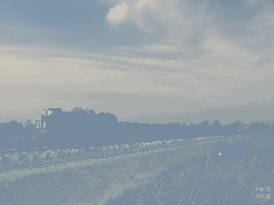 080808A-017.jpg
