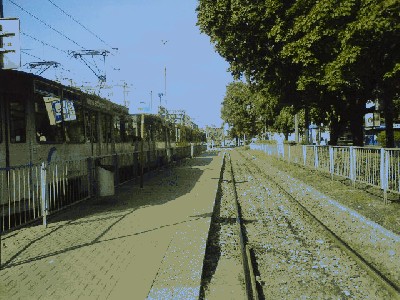DSC00011.JPG