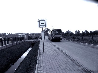 Obraz 317.jpg