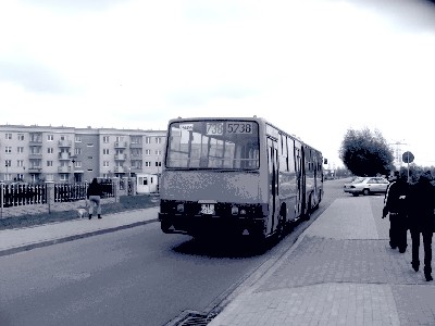 Obraz 309.jpg