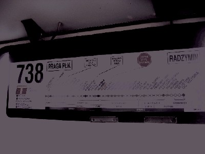 Obraz 308.jpg