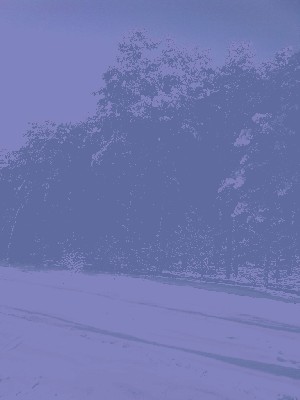 zima.jpeg