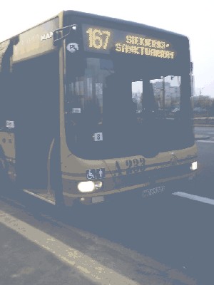 DSC00171.JPG