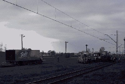pasieki P5020801.jpg