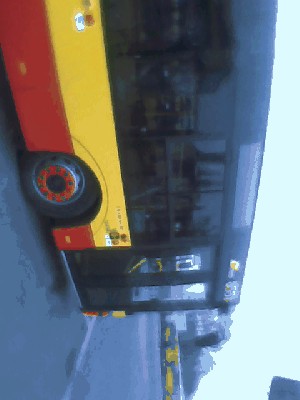 113.jpg