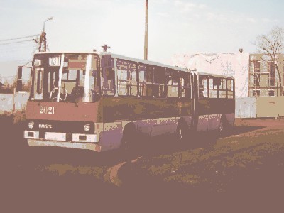 9009.JPG