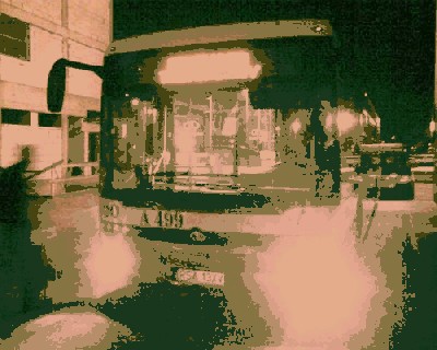 A499_2.jpg
