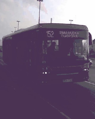 A499_3.jpg
