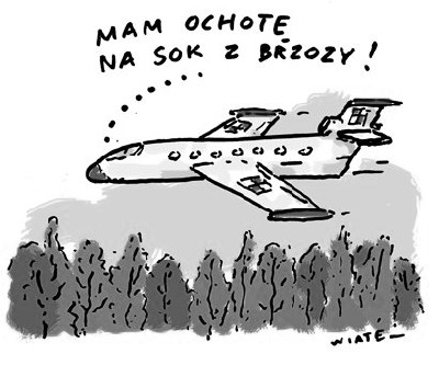 Sok_z_brzozy.jpg