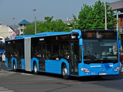 918100.jpg