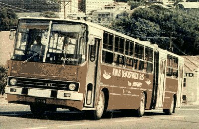 281992g.jpg